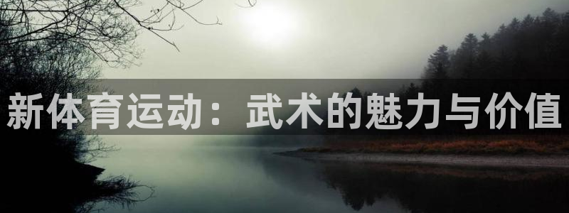 杏鑫电子有限公司：新体育运动：武术的魅力与价值