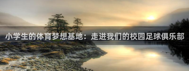 杏鑫零能源集团：小学生的体育梦想基地：走进我们的校园足球俱乐部