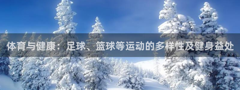杏鑫体育4：体育与健康：足球、篮球等运动的多样性及健身益处