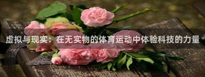 杏鑫体育3在线注册：虚拟与现实：在无实物的体育运动中体验科技的力量