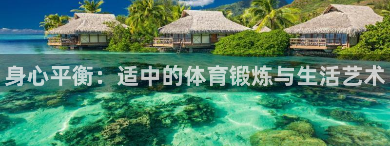 杏鑫平台注册：身心平衡：适中的体育锻炼与生活艺术