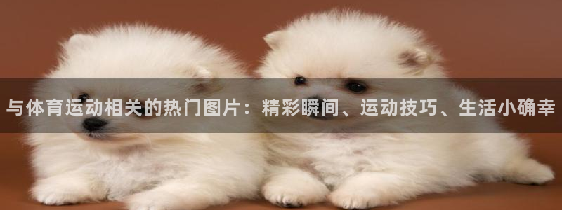 东莞市杏鑫电子科技有限公司：与体育运动相关的热门图片：精彩瞬间、运动技巧、生活小
