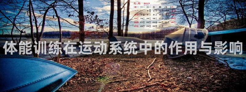 杏鑫体育凯捷平台注册：体能训练在运动系统中的作用与影响