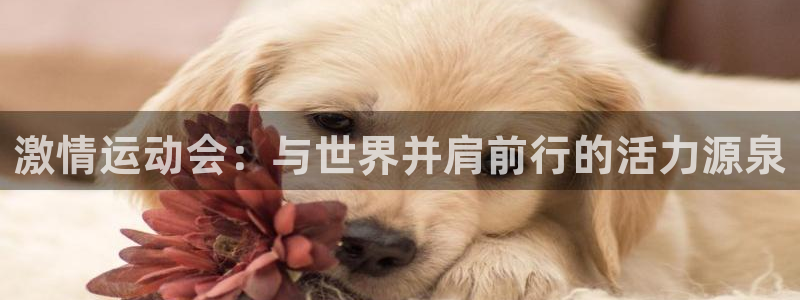杏鑫体育注册平台：激情运动会：与世界并肩前行的活力源泉