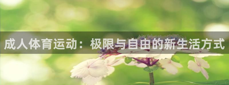 杏鑫体育凯捷平台注册：成人体育运动：极限与自由的新生活方式