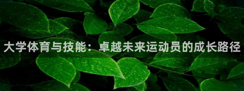 杏鑫2登录：大学体育与技能：卓越未来运动员的成长路径