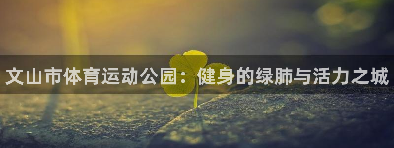 杏鑫5：文山市体育运动公园：健身的绿肺与活力之城