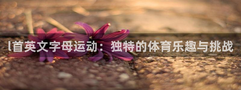 杏鑫代理注册官网入口：l首英文字母运动：独特的体育乐趣与挑战