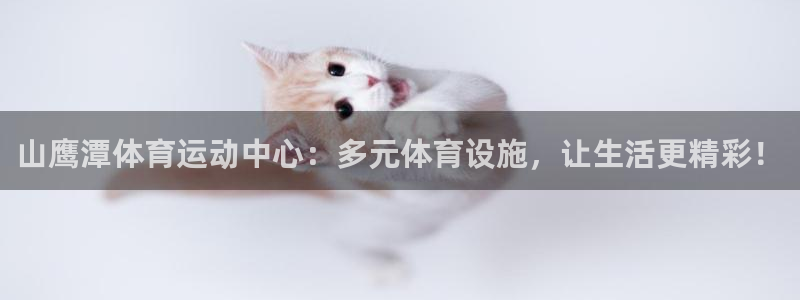 杏鑫平台招商