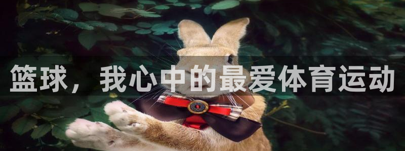 杏鑫3代理：篮球，我心中的最爱体育运动